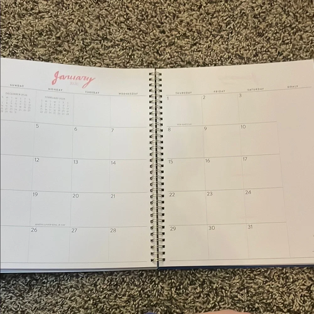 Blue Sky Multicolor Striped Planner
